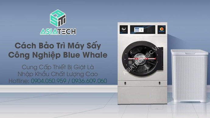 Cách bảo trì máy sấy công nghiệp Blue Whale hoạt động trơn tru